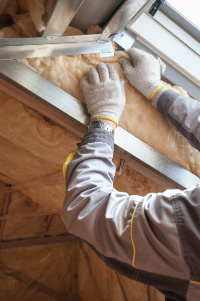 Best Geographic-Specific Insulation Services in Newkirk, OK